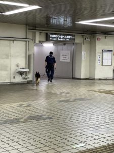 シェパードを連れた警備員がこの地下駅に突然現れた時は驚いた